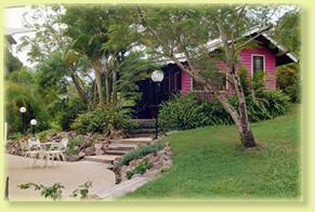 Jacaranda Cottage - Whitsundays Accommodation 2