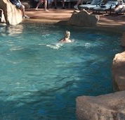 Undara Experience Lava Lodge - Whitsundays Accommodation