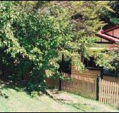 Apple Tree Cottage - Whitsundays Accommodation
