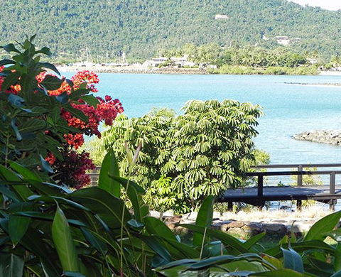 Airlie Waterfront Bed And Breakfast - Whitsundays Accommodation 1