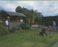 Tambo Lodge - Whitsundays Accommodation 0