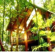 The Canopy Treehouses - Whitsundays Accommodation