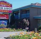 Strzelecki Motor Lodge - Whitsundays Accommodation