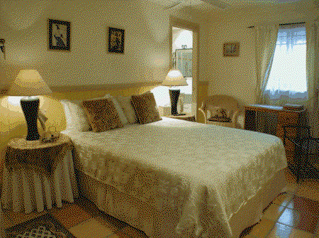 Fern Cottage Bed And Breakfast - Whitsundays Accommodation 0
