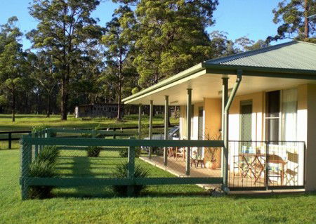 Neds Bed Horse O Tel - Whitsundays Accommodation 1