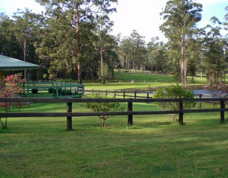 Neds Bed Horse O Tel - Whitsundays Accommodation 2
