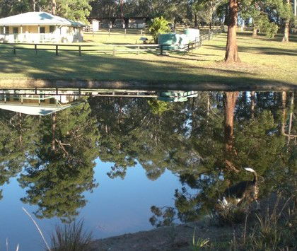Neds Bed Horse O Tel - Whitsundays Accommodation 4