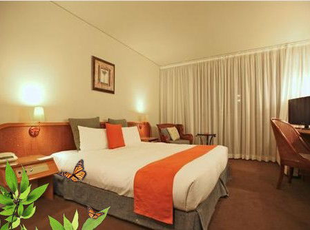 Absolute Beachfront Novotel Pacific Bay - Whitsundays Accommodation 1