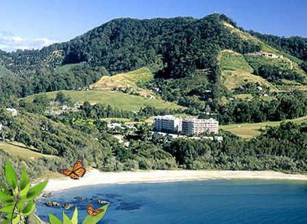 Absolute Beachfront Novotel Pacific Bay - Whitsundays Accommodation 3