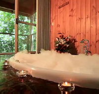 Tree Houses Of Montville - Whitsundays Accommodation