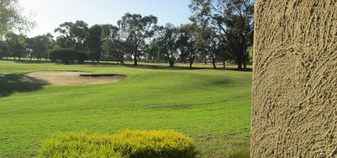 Comfort Inn Barmera Country Club - Whitsundays Accommodation 2
