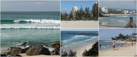 Blue Pelican Motor Inn - Whitsundays Accommodation 3