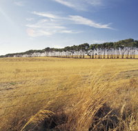 Port Wakefield Motel - Whitsundays Accommodation