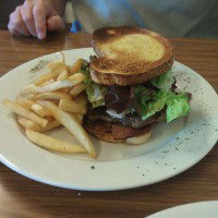 Rising Sun Hotel - Whitsundays Accommodation 0