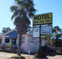 Blackboy Tree Motel - Whitsundays Accommodation