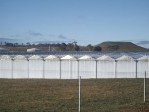 Guyra Motor INN - Whitsundays Accommodation 7