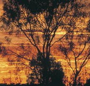 Tilmouth Well - Whitsundays Accommodation