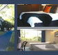The Albany - Whitsundays Accommodation