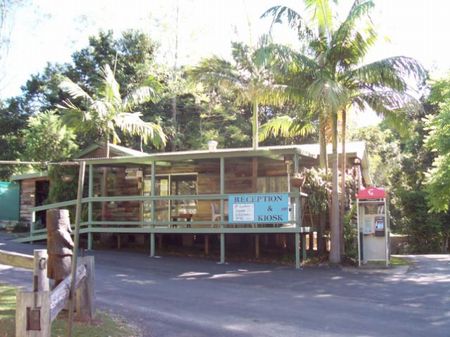 Mount Warning Rainforest Park - Whitsundays Accommodation 1