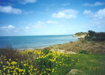 Southern Ocean Tourist Park - Whitsundays Accommodation 1