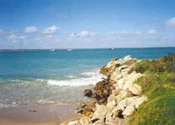 Southern Ocean Tourist Park - Whitsundays Accommodation 2