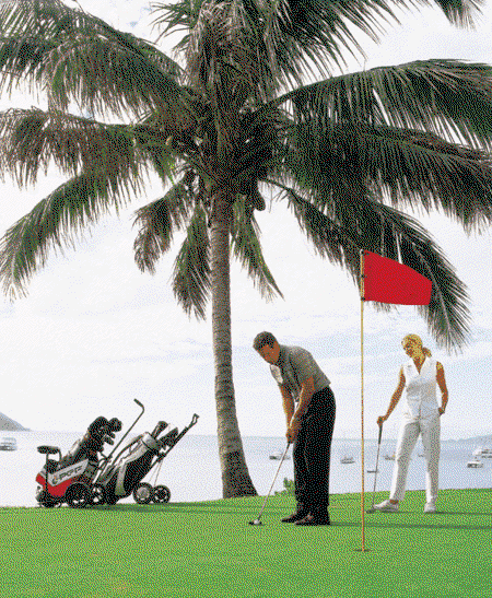 Adventure Island Whitsundays (south Molle Island) - Whitsundays Accommodation 2