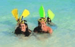 Adventure Island Whitsundays (south Molle Island) - Whitsundays Accommodation 5