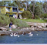 Almonta Holiday Apartments - Whitsundays Accommodation