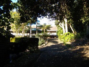 Montville Mountain Inn - Whitsundays Accommodation 2