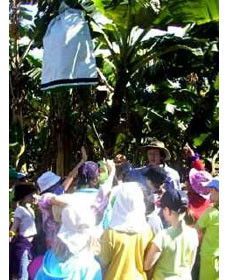 Beachfarm Farmstay - Whitsundays Accommodation 0