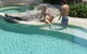 Seacove Resort - thumb 3