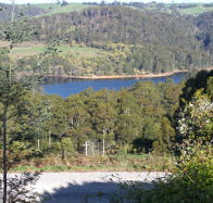 Charlyn Lodge - Whitsundays Accommodation