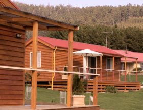 Maydena Country Cabins And Alpacas - Whitsundays Accommodation 0