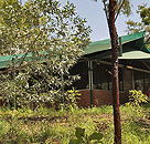 Arnhemland Barramundi Nature Lodge - Whitsundays Accommodation