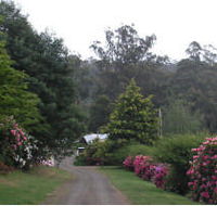 Mountain Rivers Lodge - Whitsundays Accommodation
