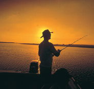 Point Stuart Wilderness Lodge - Whitsundays Accommodation