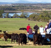 Bonny Brae - Whitsundays Accommodation