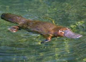 Eilean Donan Gardens - Whitsundays Accommodation 0
