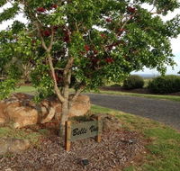 Belle Vue Studio - Whitsundays Accommodation