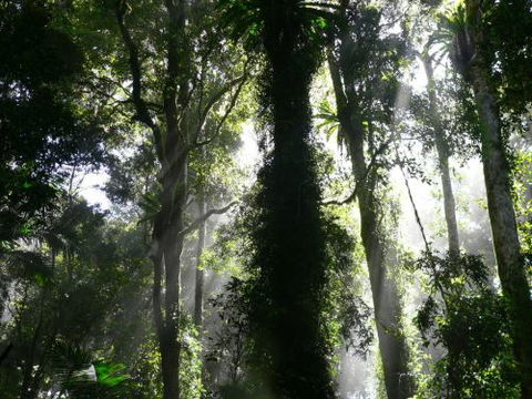 Alcheringa Holiday House - Whitsundays Accommodation 6