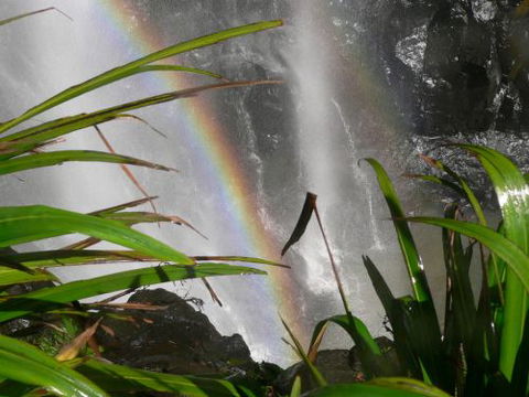 Alcheringa Holiday House - Whitsundays Accommodation 7