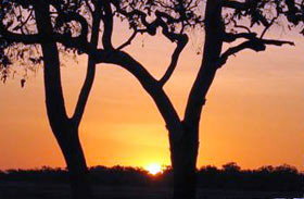 Coodardie Station Stay - Whitsundays Accommodation 0