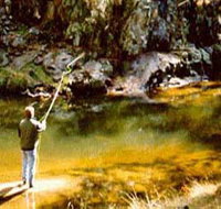 Markdale Homestead - Whitsundays Accommodation