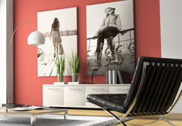 A Good Sort - Whitsundays Accommodation 3