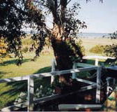 Kidogo Cottage - Whitsundays Accommodation