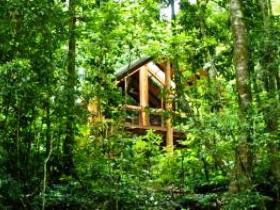 Fur'N'Feathers Rainforest Tree Houses - Whitsundays Accommodation 0