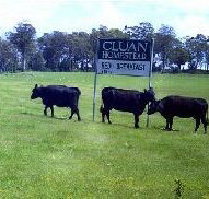 Cluan Homestead - Whitsundays Accommodation
