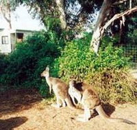 Avoca Dell Caravan Park - Whitsundays Accommodation