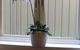 Claremont Guest House - thumb 10