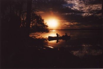 Lake Weyba Cottages Noosa - Whitsundays Accommodation 12